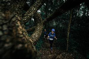 BIB: 
                            <button type="button" onclick="openModal(25704044)" class="btn btn-primary btn-sm float-right btn-popup" data-toggle="modal" data-target=".modal-high-quality">
                        <i class="fas fa-shopping-cart"></i> Add to Cart
                    </button>
                                            <button type="button" onclick="isThisMe(25704044, true)" class="btn btn-success btn-sm float-right btn-popup btn-isme hidden" data-toggle="tooltip" data-placement="bottom" title="นี่คือรูปของคุณใช่ไหม คลิกที่นี่เพื่อเอาเข้าอัลบั้ม">
                        <i class="fas fa-plus"></i> Add to album
                    </button>
                    <button type="button" onclick="isThisMe(25704044, false)" class="btn btn-warning btn-sm float-right btn-popup btn-isnotme hidden">
                        <i class="fas fa-ban"></i> Remove from album
                    </button>